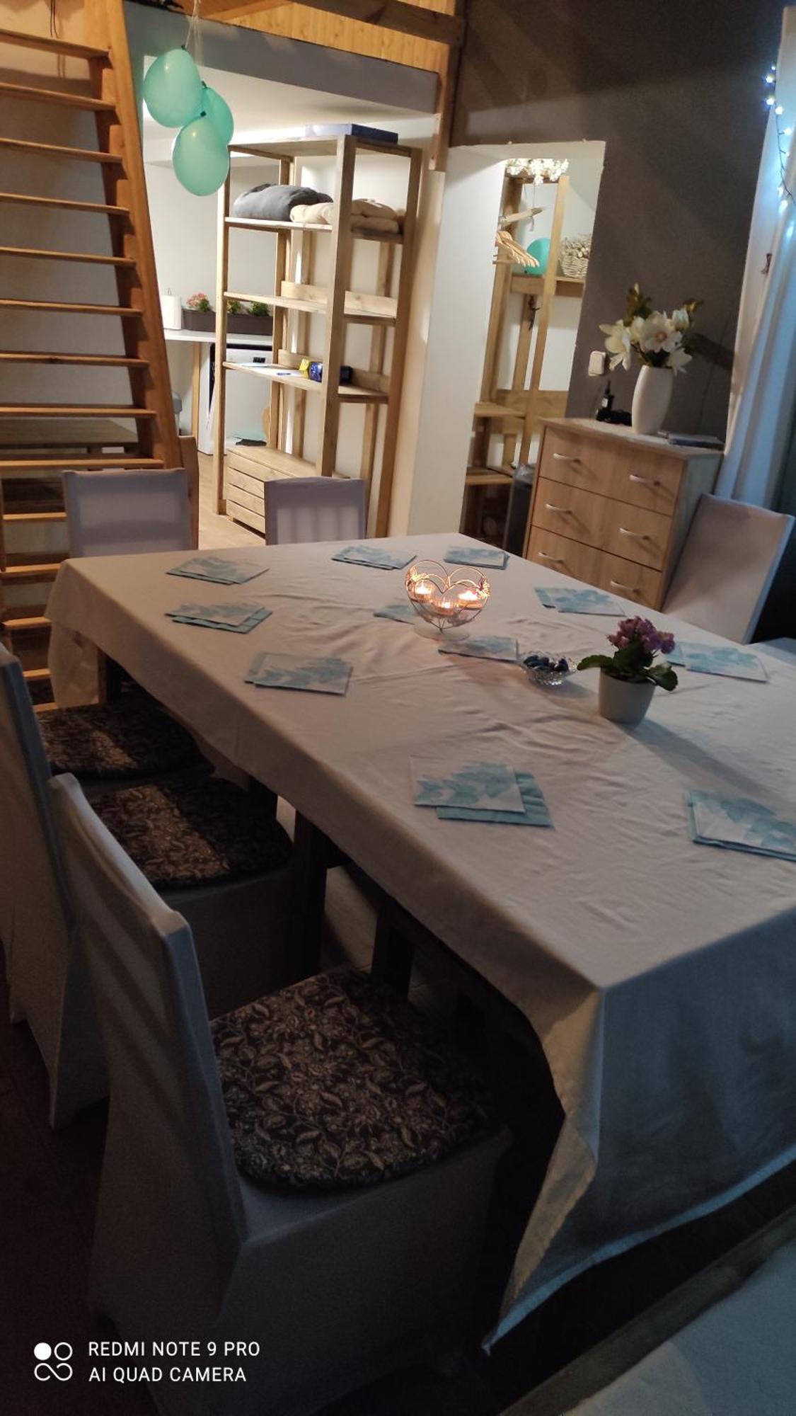 Apartmany Sharka -Sarka Justrova Decin Cameră foto