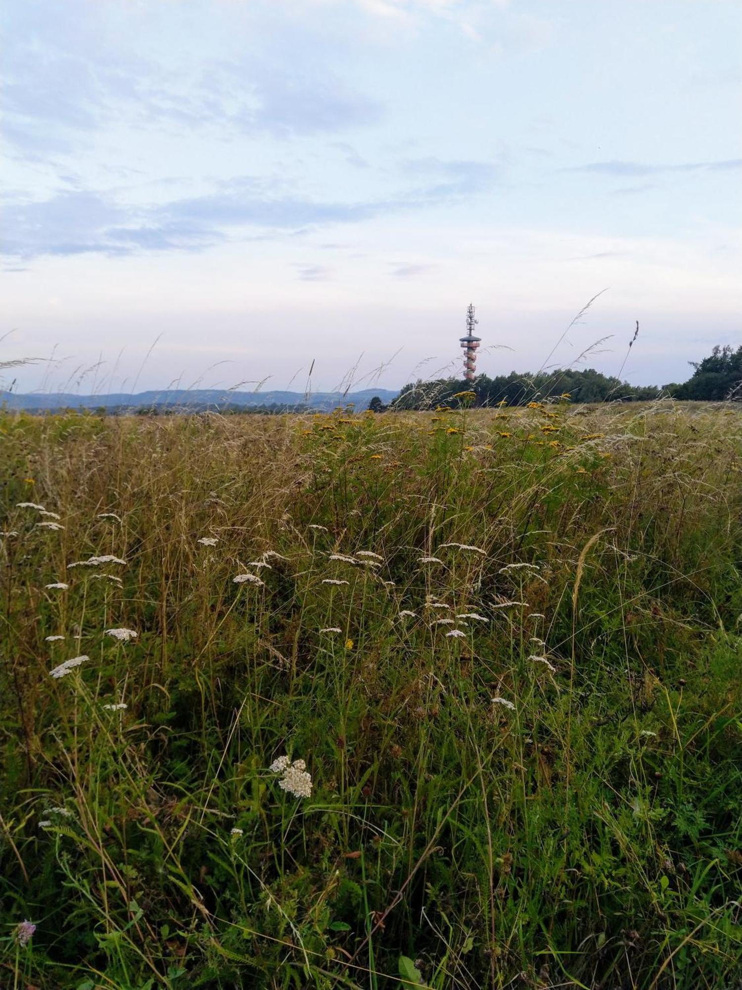 Apartmany Sharka -Sarka Justrova Decin Cameră foto