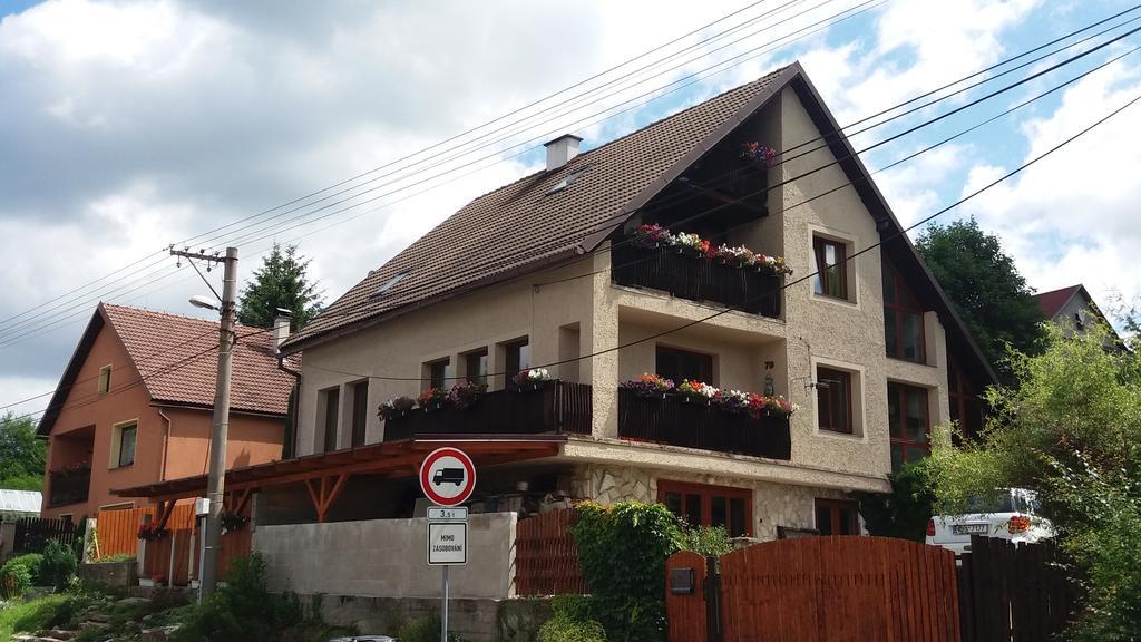 Apartmany Sharka -Sarka Justrova Decin Exterior foto