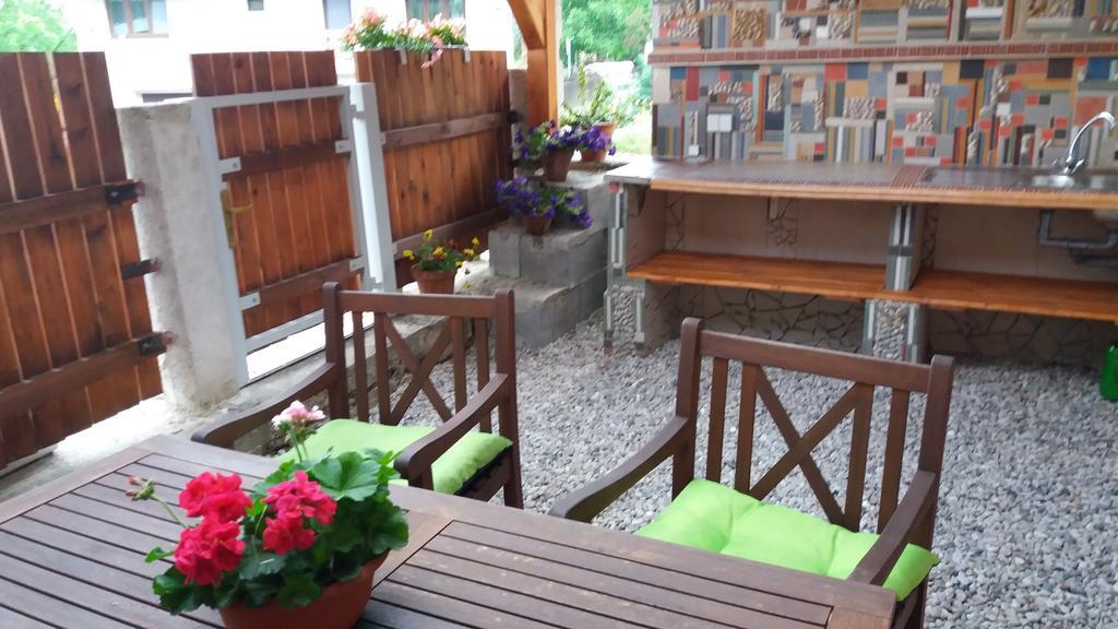 Apartmany Sharka -Sarka Justrova Decin Exterior foto