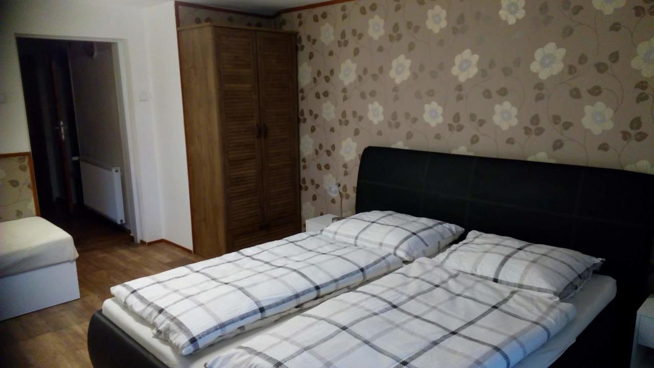 Apartmany Sharka -Sarka Justrova Decin Exterior foto